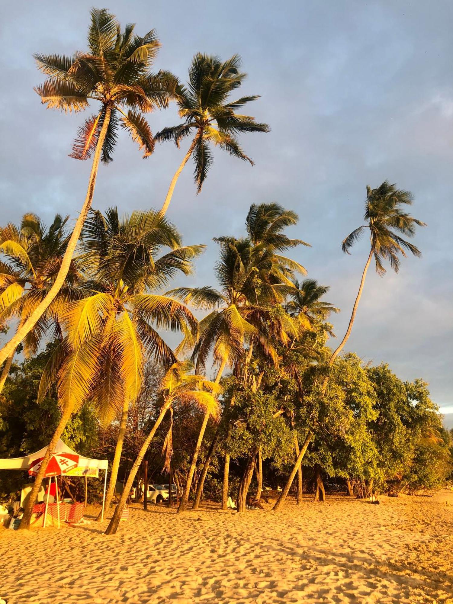 Beau T4 Refait A Neuf Proche Plage Sainte-Anne Ngoại thất bức ảnh